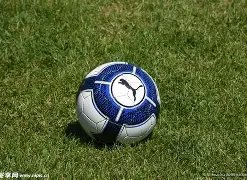 科菲,三年合同见,证非凡蜕变,PG电子官网,PG电子试玩,PG电子模拟器,PG电子平台,PG电子下载