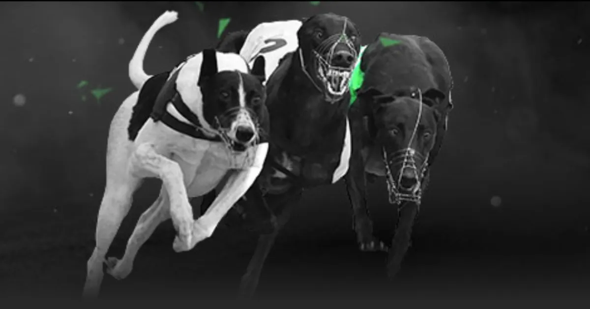 岁老将末节,独得,分逆转乾坤,PG电子官网,PG电子试玩,PG电子模拟器,PG电子平台,PG电子下载